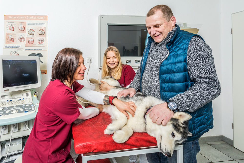 Tierärztliche Gemeinschaftspraxis Dr. Anett Kaufmann & Dr. Eike Kaufmann Tieraerzte – Tierärztliche Gemeinschaftspraxis Dr. Susanne Behrens u